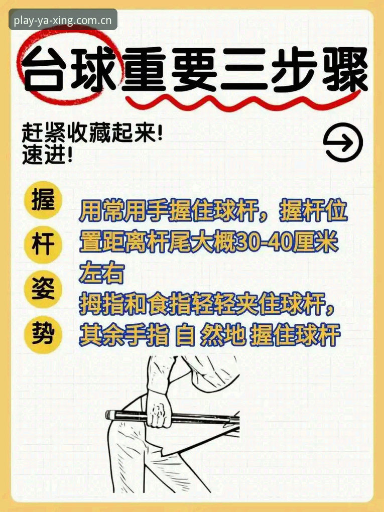 亚星娱乐真人平台 亚星体育平台真人娱乐功能详解与新手操作指南